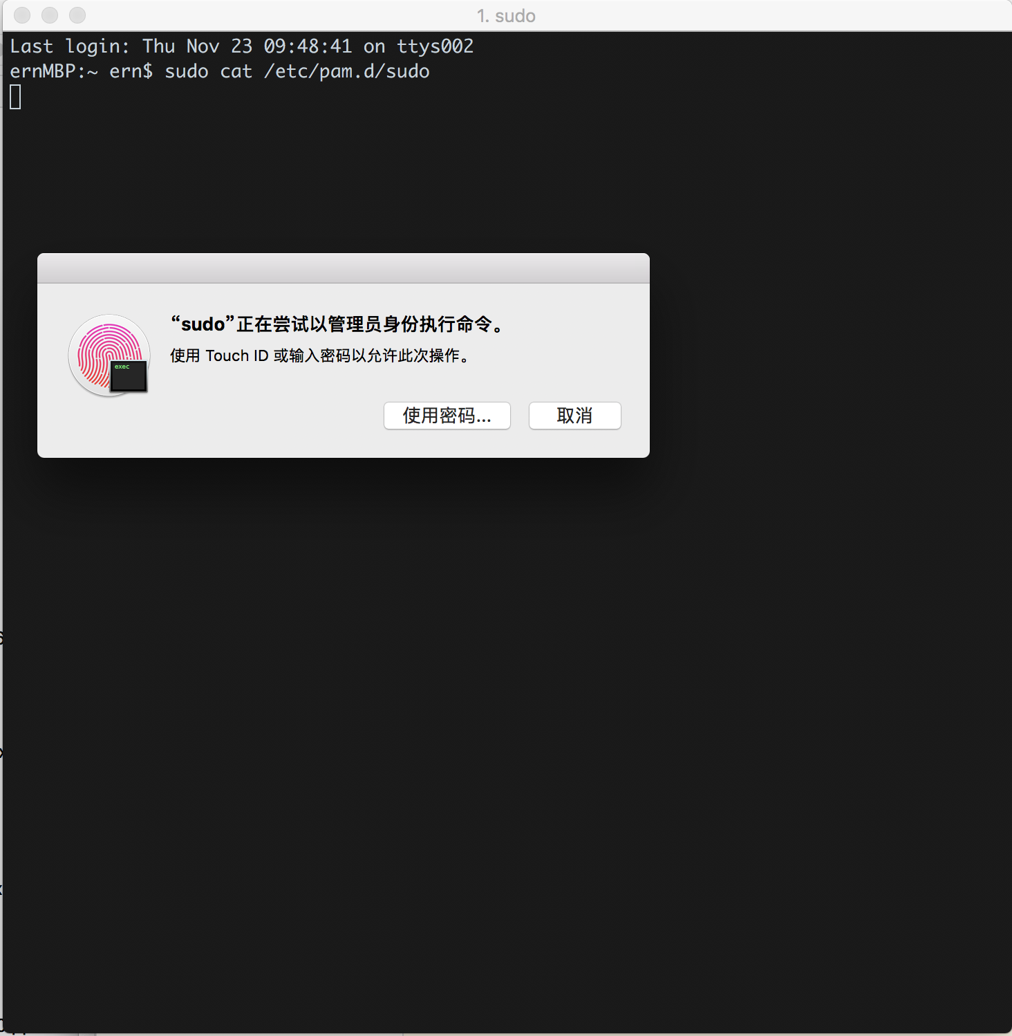 让终端 sudo 时用上 Touch ID